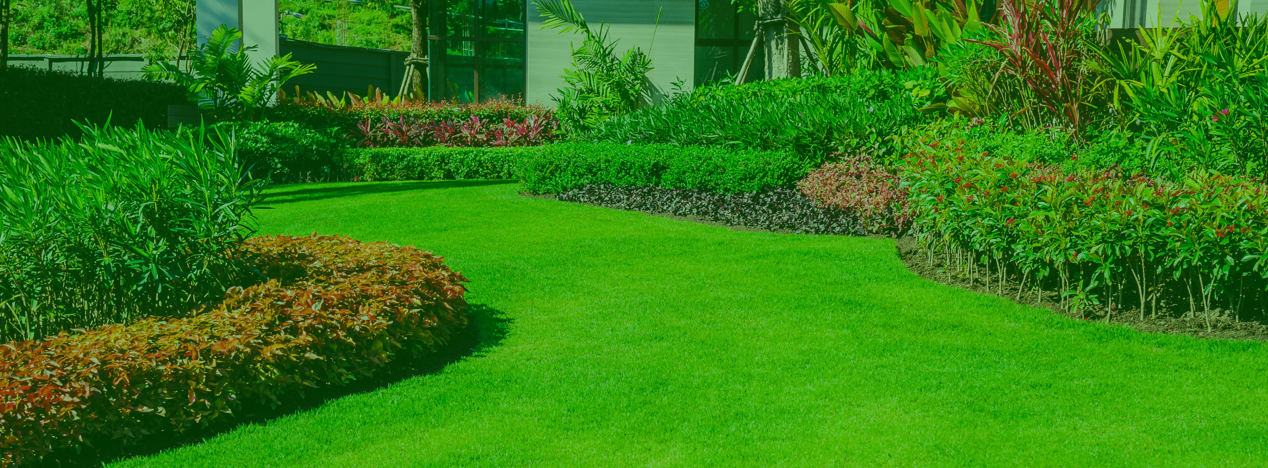 bg_image